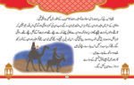 Khush Naseeb - Image 3