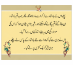 Samajdar Hiran ( Sabak Amooz Kahaniyan ) - Image 2