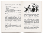 Roald Dahl Danny the Champion of the World - Image 2