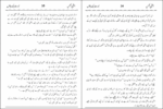 Ajnabi Aks or Dusri Kahaniyan - Image 3