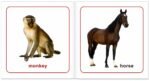 My Little Animals Board Book - Image 2