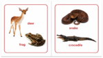 My Little Animals Board Book - Image 3