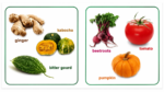 My Little Vegetables Board Book - Image 2