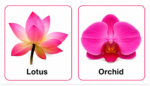 My Little Flowers Board Book - Image 3