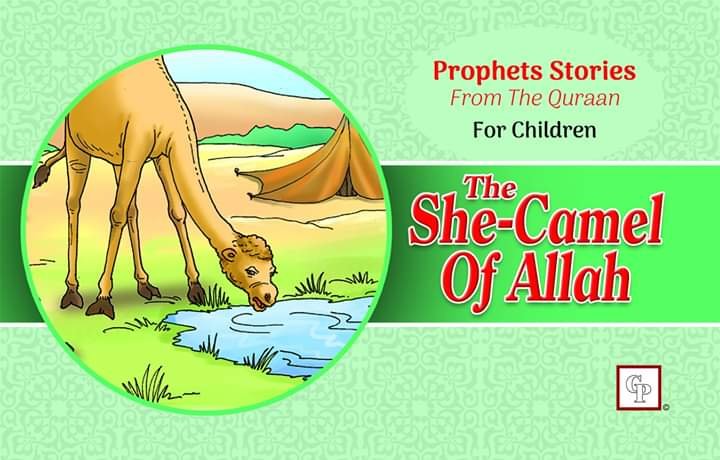 FB_IMG_1593949536161 She camel of Allah (A.S) Prophet Stories - Image 1