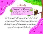 Burha Aqab (Allama Iqbal Ke Ashar Par Mabni kahaniyan) - Image 2