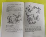 Roald Dahl The Magic Finger - Image 2