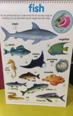 Flip Chart: Animal Kingdom (Flip Flap) - Image 5