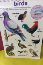 Flip Chart: Animal Kingdom (Flip Flap) - Image 6