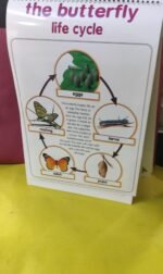 Flip Chart: Animal Kingdom (Flip Flap) - Image 10