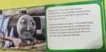 Thomas & Friends: Gordon Takes a Tumble - Image 2