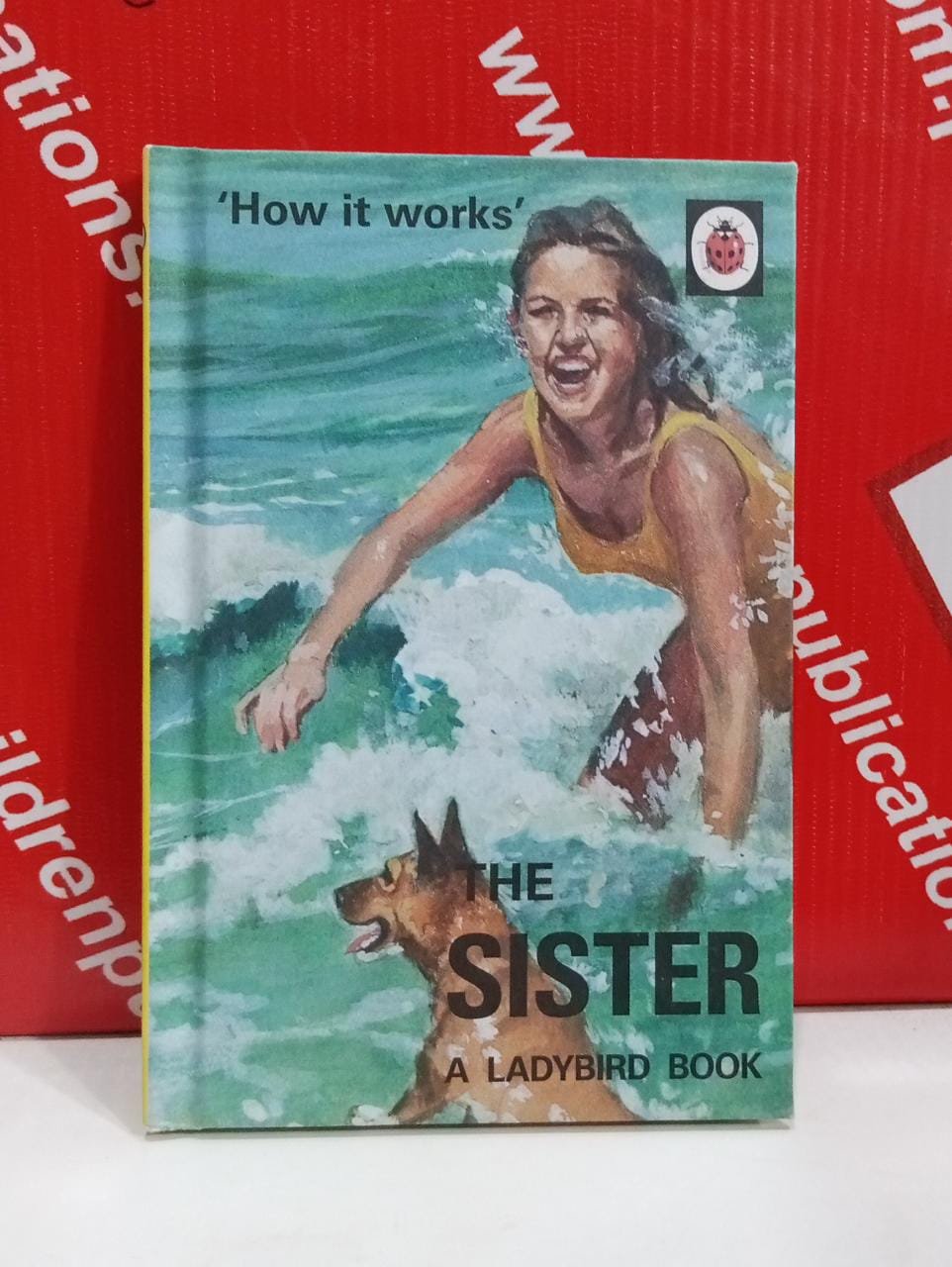 WhatsApp-Image-2022-02-12-at-11.30.23-AM How It Works The Sister A Ladybird Book - Image 1
