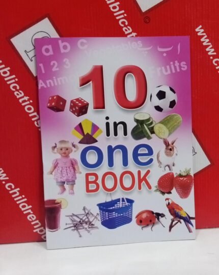 10 In One Book