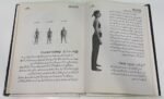 Yoga Basic Guide - Image 2