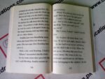 Enid Blyton Amelia Jane Is Naughty Again - Image 2