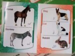 Nudrat's Animals - Image 2