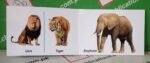 Children's First "Animals" Board Book - Image 2