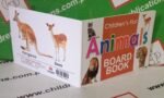 Children's First "Animals" Board Book - Image 3