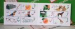 Children's First "Alif Bay Pay" Board Book - Image 2