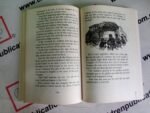 A Treasury Of Stories From Hans Christian Andersen - Image 4