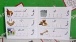 My Read Write & Wipe Board Book Set - Image 2