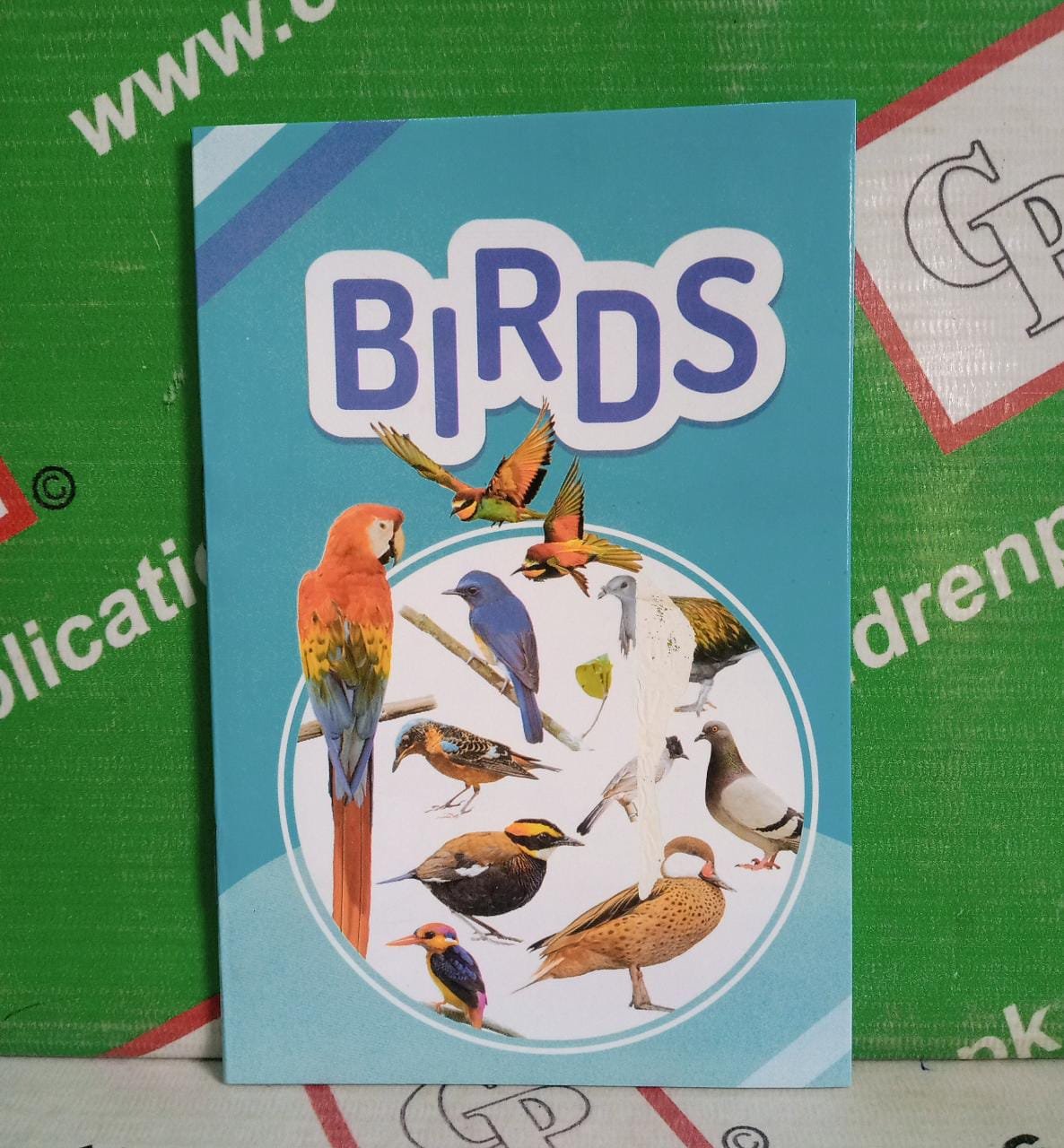 WhatsApp-Image-2023-06-27-at-2.32.30-PM Birds ( Qaiday ) - Image 1