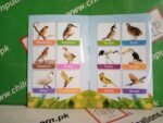 Birds ( Qaiday ) - Image 2
