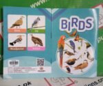 Birds ( Qaiday ) - Image 3