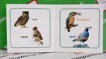 My Little Birds Board Book - Image 2