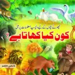 Kon Kiya Khata Hai?