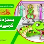 Moajza Kisy Kehty Hain? ( Khatamul Nabiyeen )