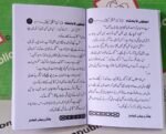 Ahmaqon Ka Badshah - Image 2