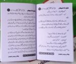 Harrapa Ka Shaitan - Image 2