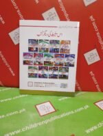 Mera Pehla Encyclopedia Tawanae (Hardcover) - Image 4