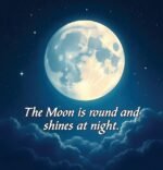 My First Book Of The Moon(Little Muslim/Explorer) - Image 3