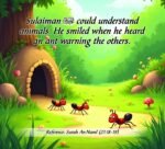 25 Amazing Stories From Quran(Big Size Board Book) - Image 2