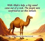 25 Prophets Of Allah (Big Size Board Book) - Image 2