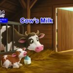 Cow's Milk