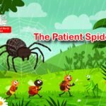 The Patient Spider