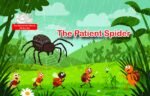 The Patient Spider