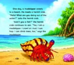 My First Science Stories Board Book How Can a Fish Live on Land? - Image 3