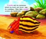 My First Science Stories Board Book How Can a Fish Live on Land? - Image 2