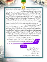 Lans Naik Muhammad Mehfoooz Shaheed (Nishan-e-Haider) - Image 4