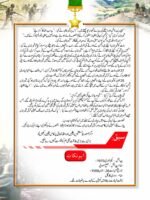 Captain Karnal Sher Khan Shaheed (Nishan-e-Haider) - Image 4