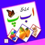 My Little Alif bey pe Board Book