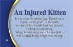 An Injured Kitten ( Young Reader's Good Habit ) - Image 3