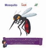 My First Al Quran Words Animals - Image 2
