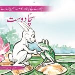 Sacha Dost ( Hum Chand Tare )