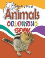 My First Animals Colouring Book