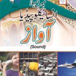 Mera Pehla Encyclopedia Awaz (Hardcover)